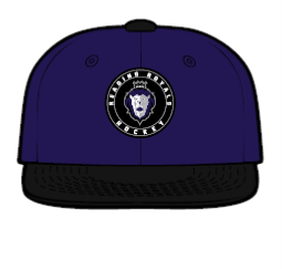 Purple Black Puck Zephyr