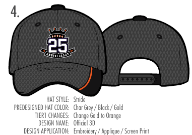 Hat -  25th Anniv. - Stride Snap Back